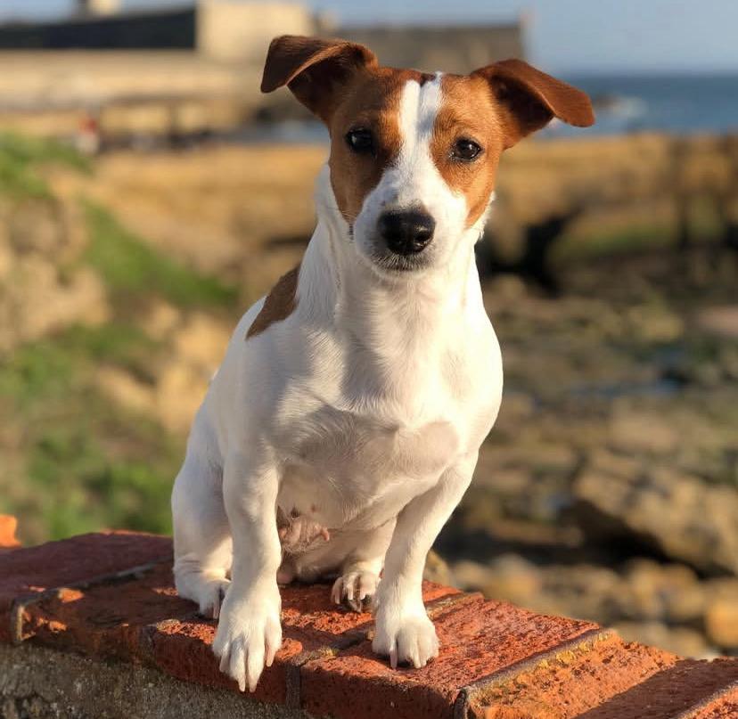 PHOTO-2025-03-19-21-46-22 2