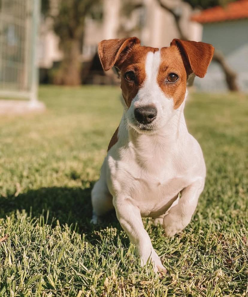 PHOTO-2025-03-19-21-46-22