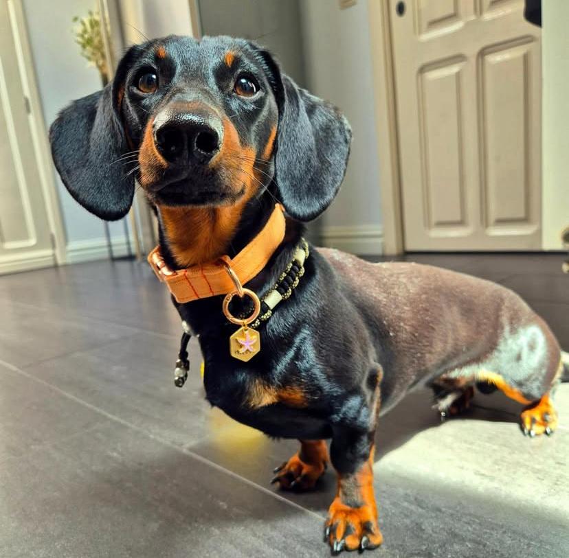 PHOTO-2025-03-19-21-52-41