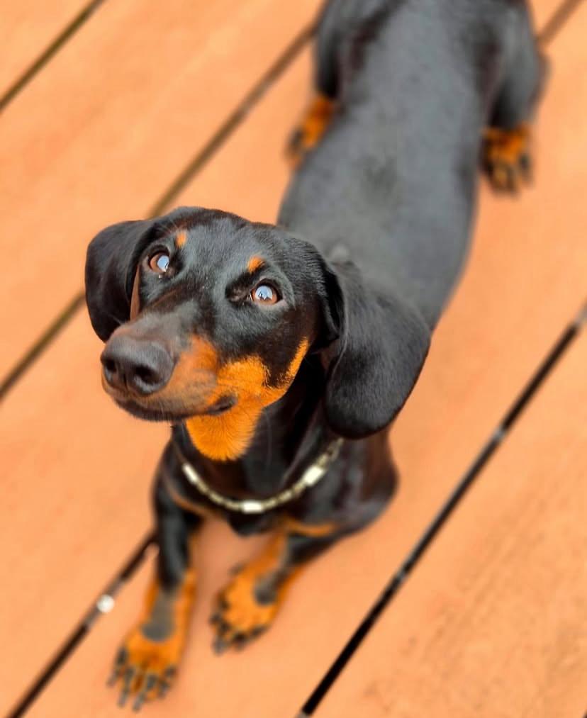 PHOTO-2025-03-19-21-52-42 2