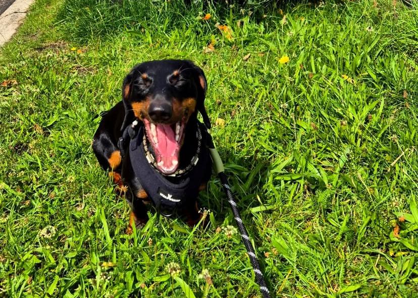 PHOTO-2025-03-19-21-52-42 3