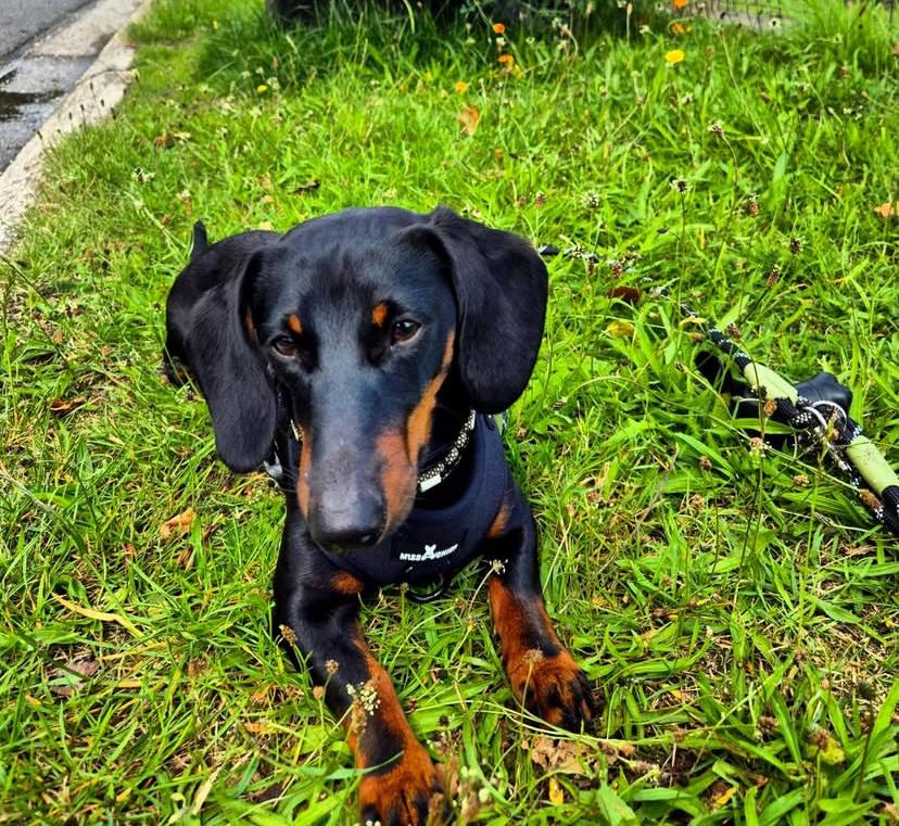 PHOTO-2025-03-19-21-52-42