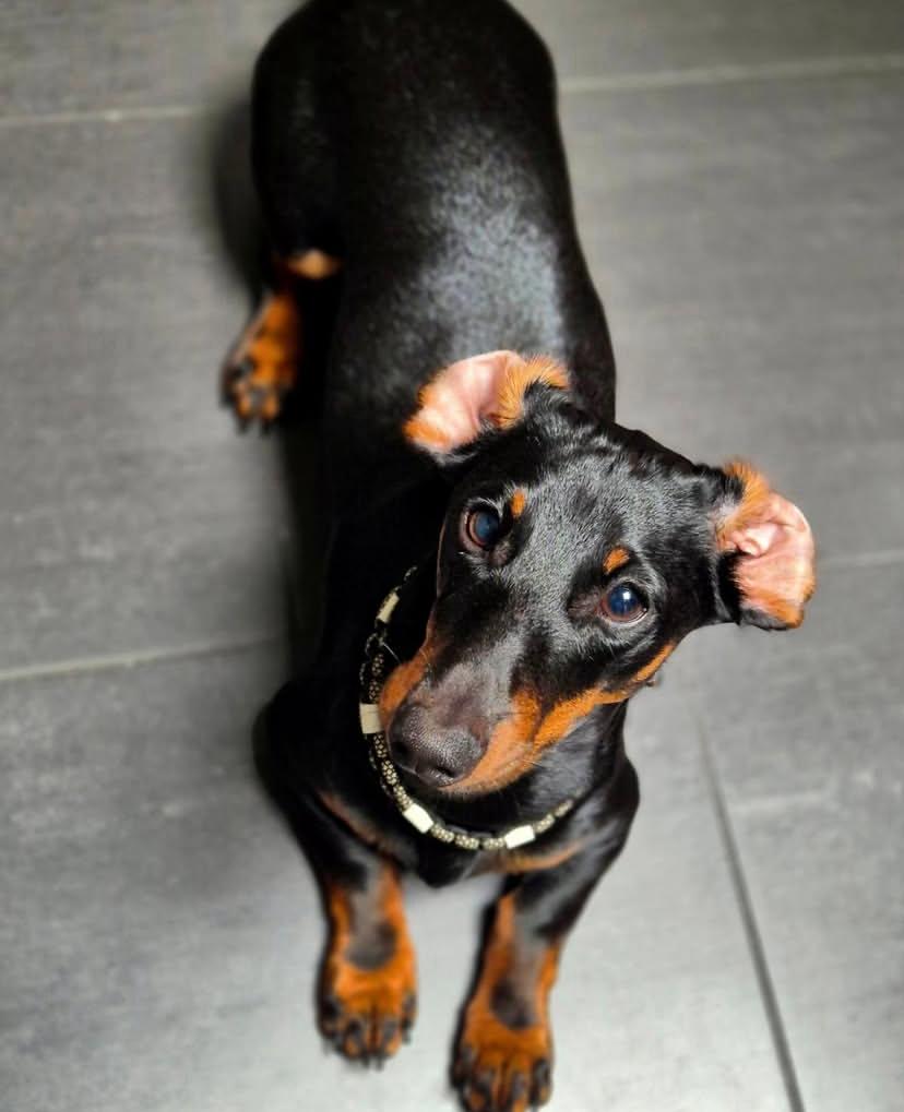 PHOTO-2025-03-19-21-52-43