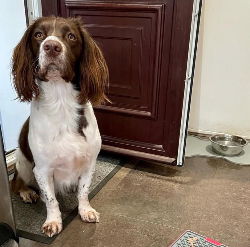 PHOTO-2025-03-19-21-54-08 2