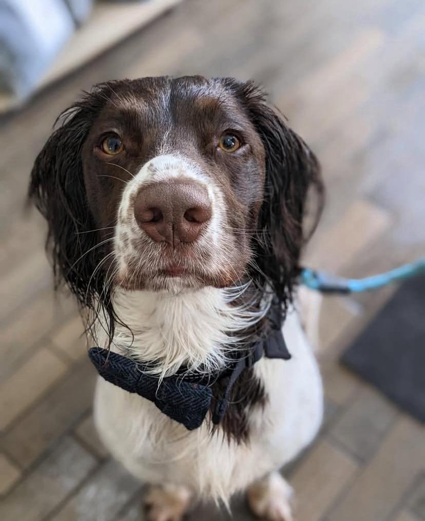 PHOTO-2025-03-19-21-54-09