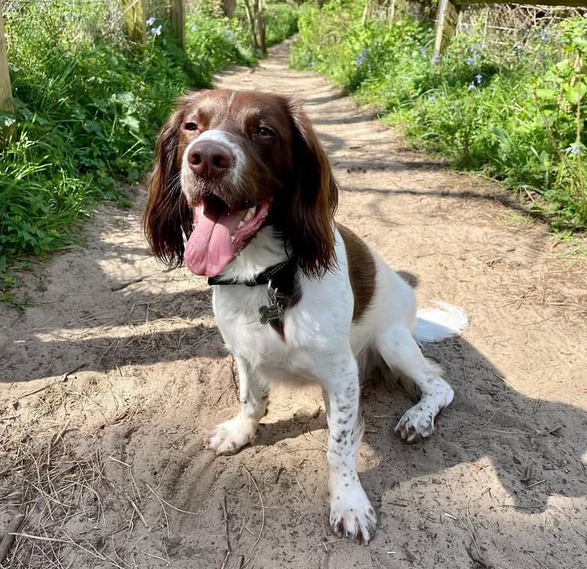 PHOTO-2025-03-19-21-54-10 2