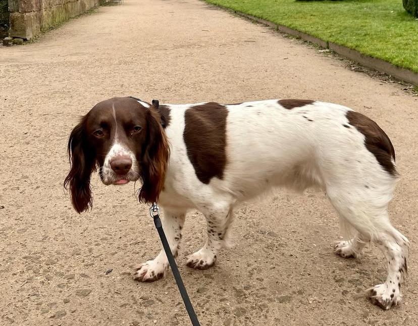 PHOTO-2025-03-19-21-54-10