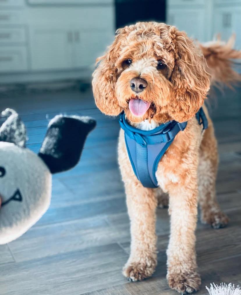 PHOTO-2025-03-19-21-56-43 2