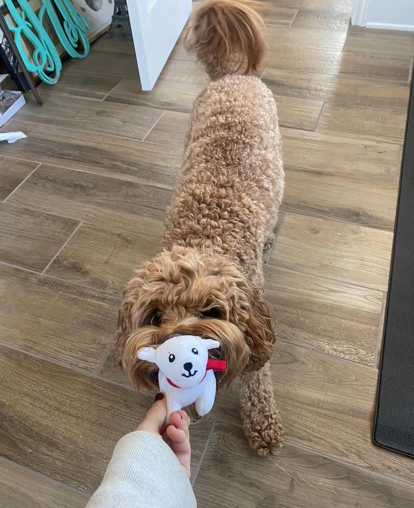 PHOTO-2025-03-19-21-56-43 3