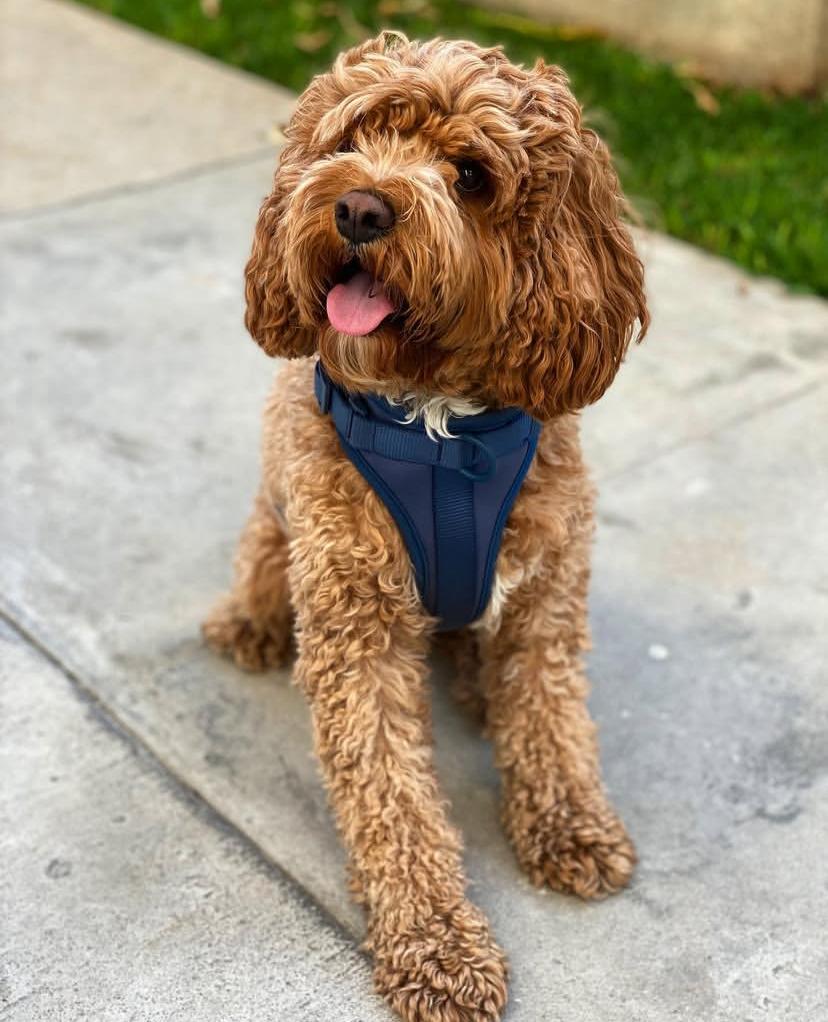 PHOTO-2025-03-19-21-56-43 4