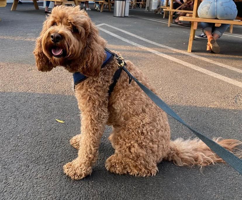 PHOTO-2025-03-19-21-56-43