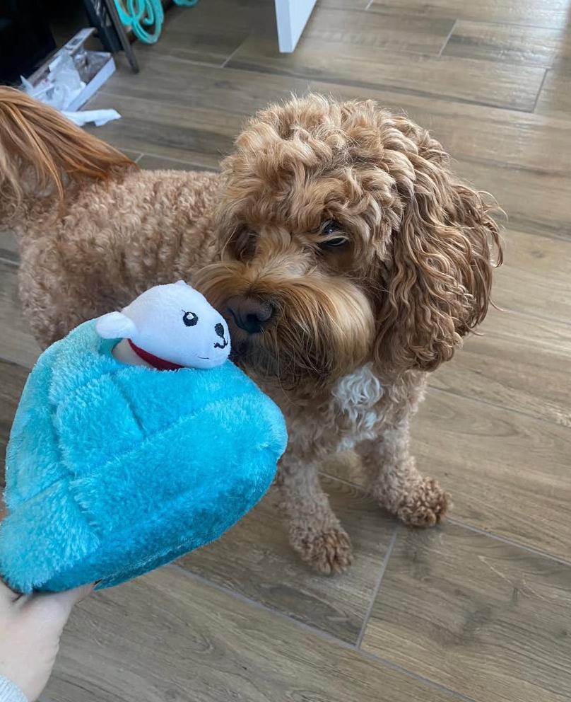 PHOTO-2025-03-19-21-56-44