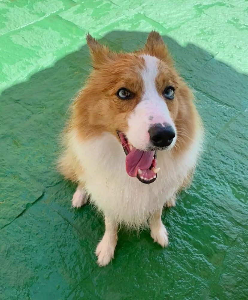 PHOTO-2025-03-19-21-58-39