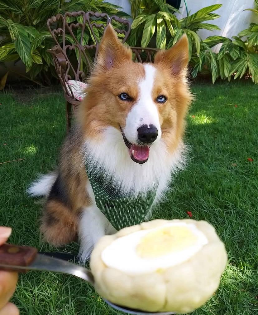 PHOTO-2025-03-19-21-58-42 2