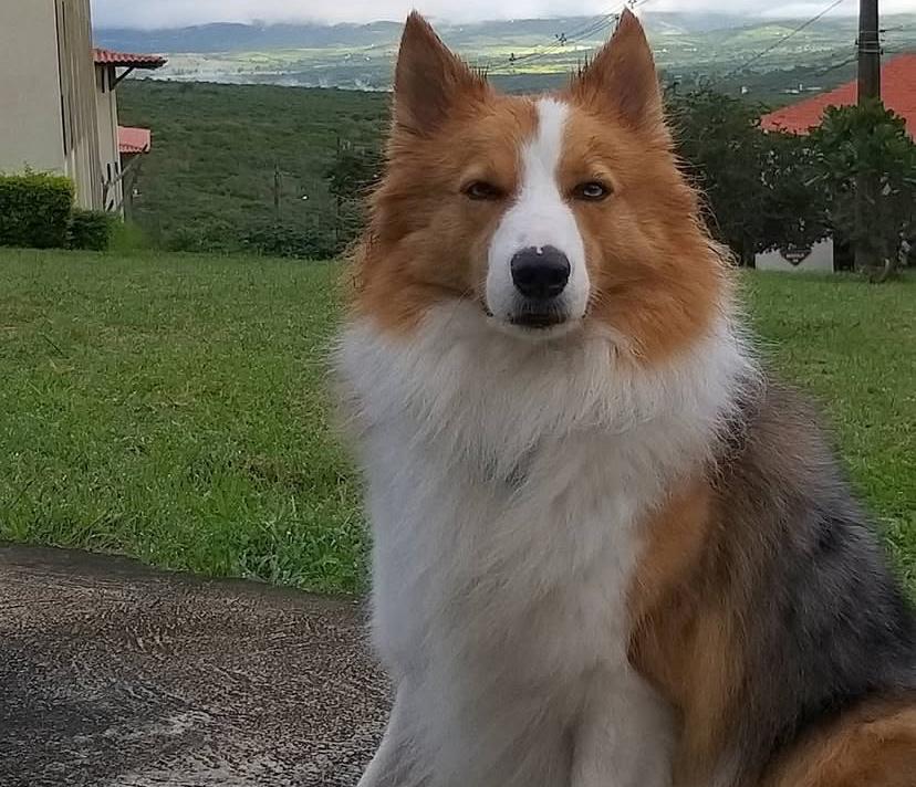 PHOTO-2025-03-19-21-58-42