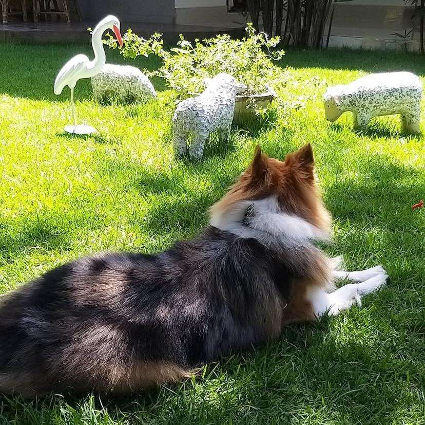 PHOTO-2025-03-19-21-58-43