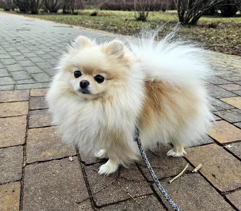 PHOTO-2025-03-19-22-00-24 2