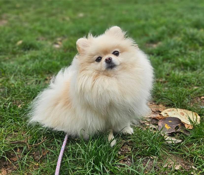 PHOTO-2025-03-19-22-00-24