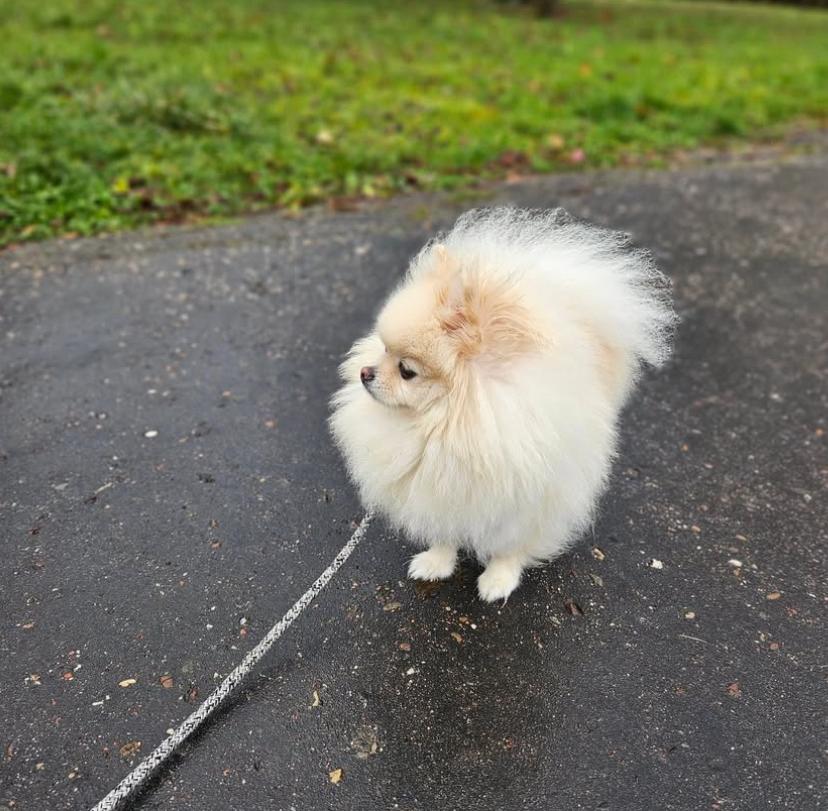 PHOTO-2025-03-19-22-00-25 2