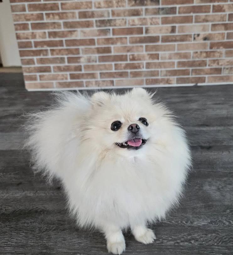 PHOTO-2025-03-19-22-00-25