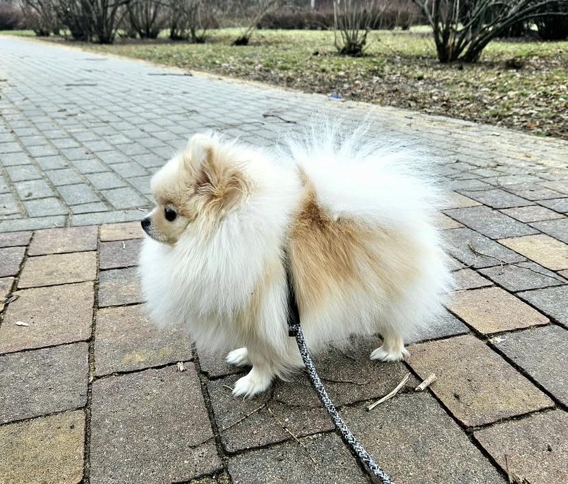 PHOTO-2025-03-19-22-00-26