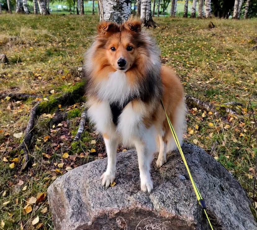 PHOTO-2025-03-19-22-05-12 2