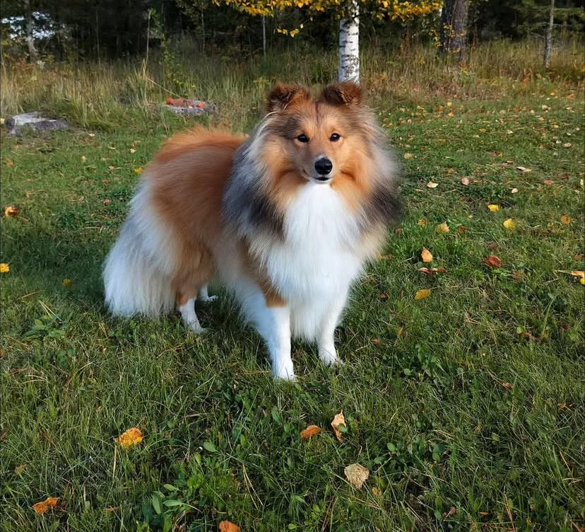 PHOTO-2025-03-19-22-05-12 3