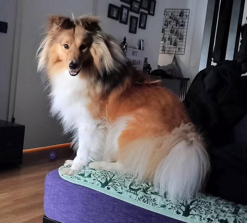 PHOTO-2025-03-19-22-05-12