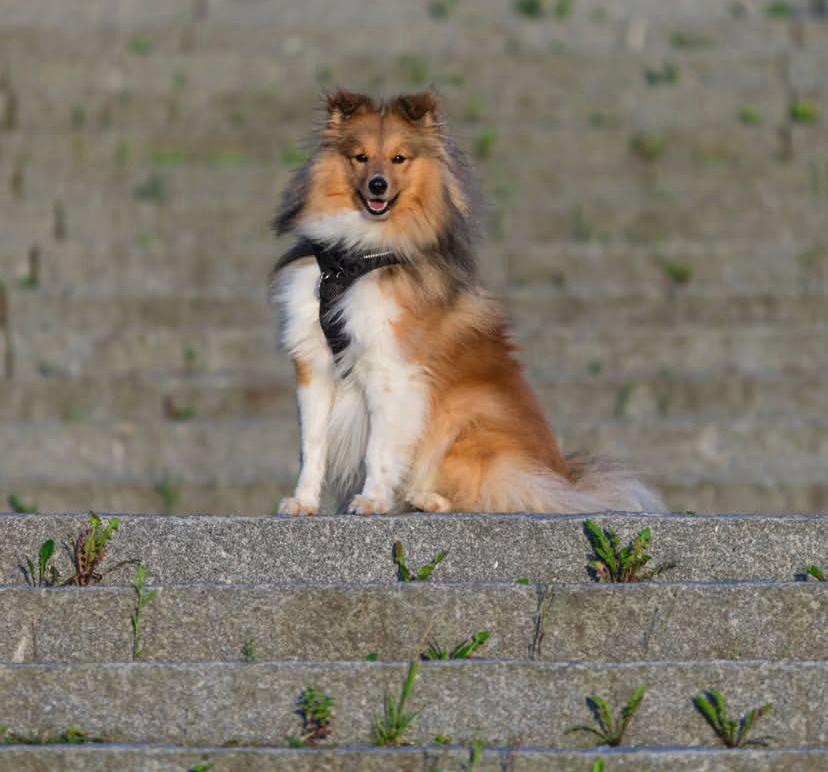 PHOTO-2025-03-19-22-05-13 2