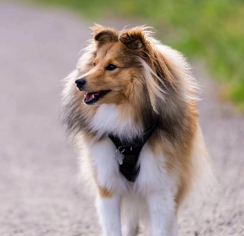 PHOTO-2025-03-19-22-05-13